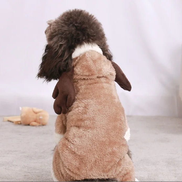 Holiday Dog Fashion Outfits