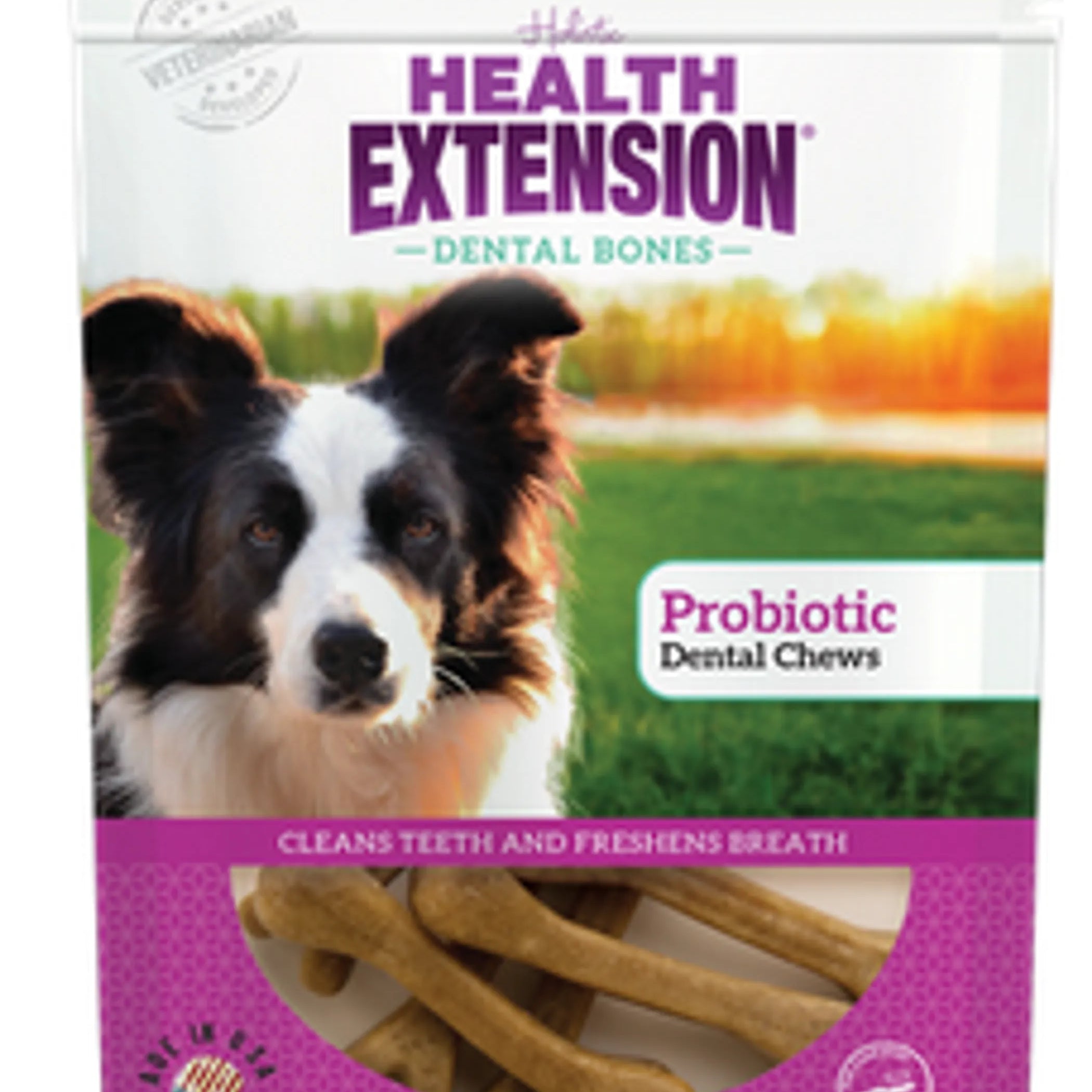 Dog Dental Bones