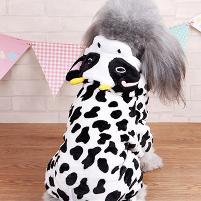 Holiday Dog Fashion Outfits